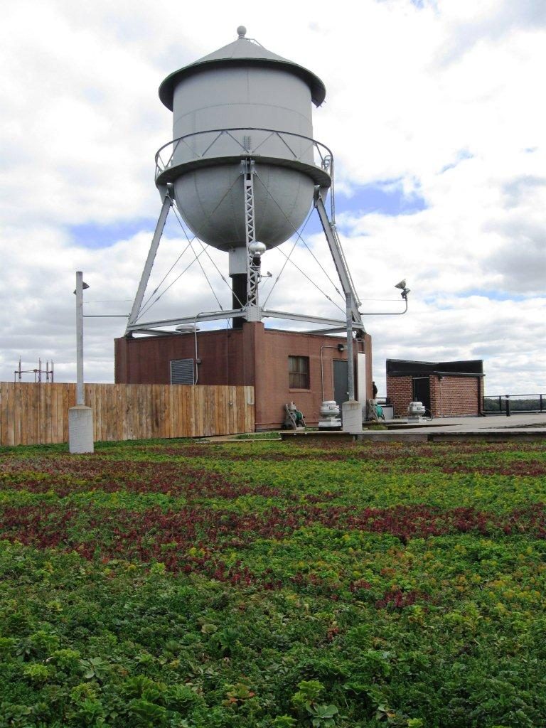 Water Tower Place - Phase 2